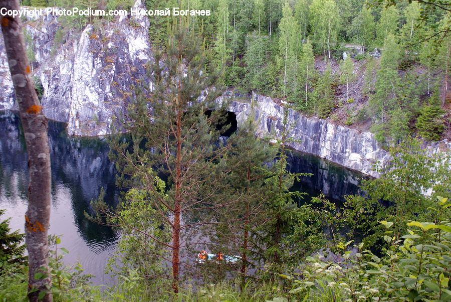 Cliff, Outdoors, Creek, River, Water, Forest, Vegetation
