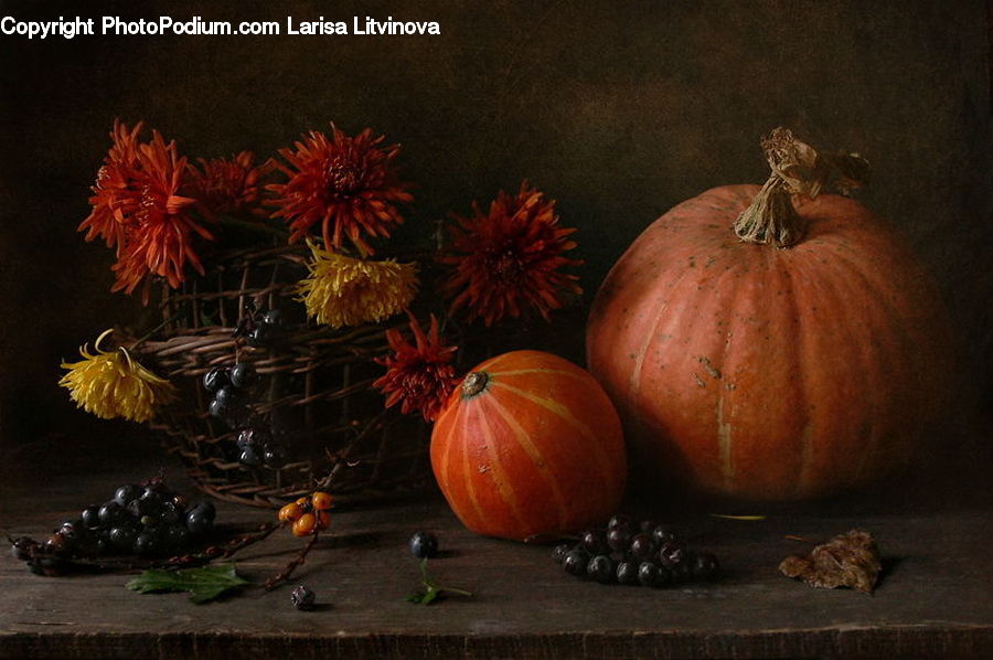 Plant, Potted Plant, Pumpkin, Squash, Vegetable, Fruit, Onion
