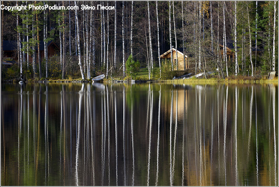 Building, Cabin, Shelter, Hut, Rural, Shack, Outdoors