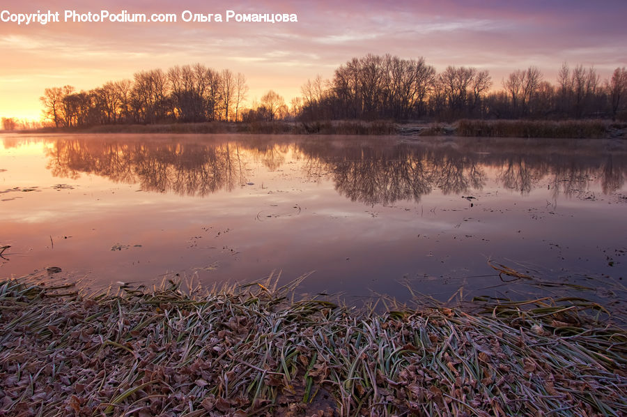 Land, Marsh, Pond, Swamp, Water, Dawn, Dusk