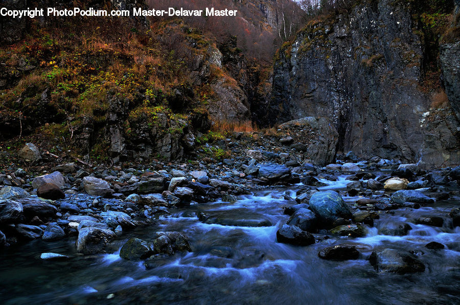 Creek, Outdoors, River, Water, Stream, Rock, Forest