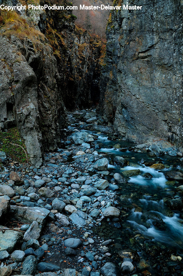 Creek, Outdoors, River, Water, Rock, Fish, Sea Life