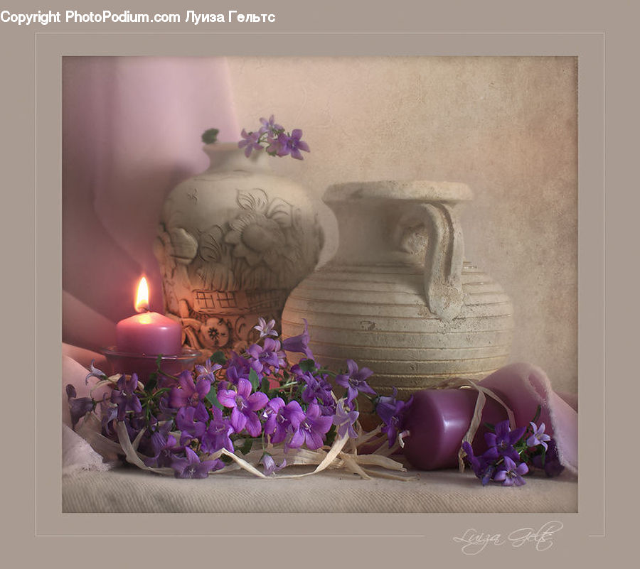 Blossom, Flower, Lilac, Plant, Flora, Violet, Orchid