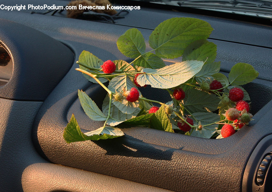 Fruit, Strawberry, Raspberry, Flower Arrangement, Ikebana, Plant, Potted Plant