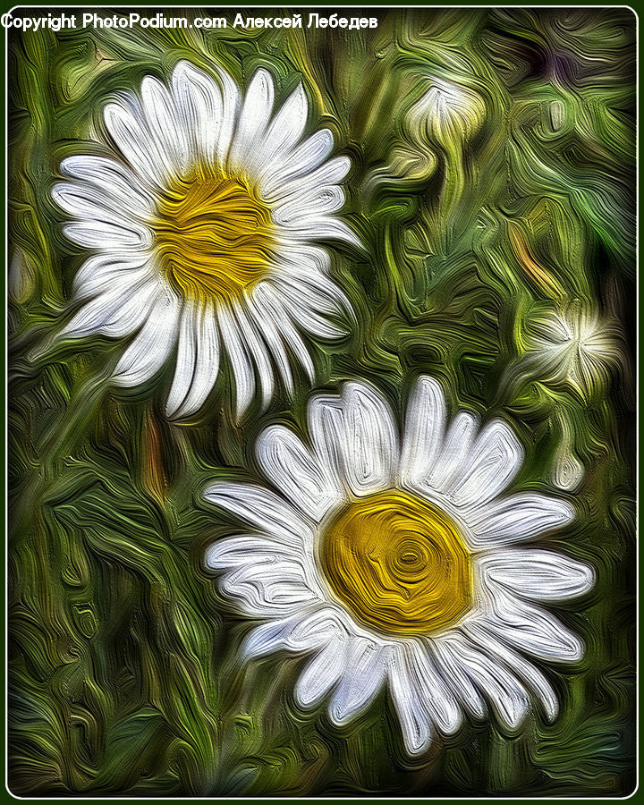 Cushion, Home Decor, Pillow, Flower, Flower Arrangement, Flower Bouquet, Daisies