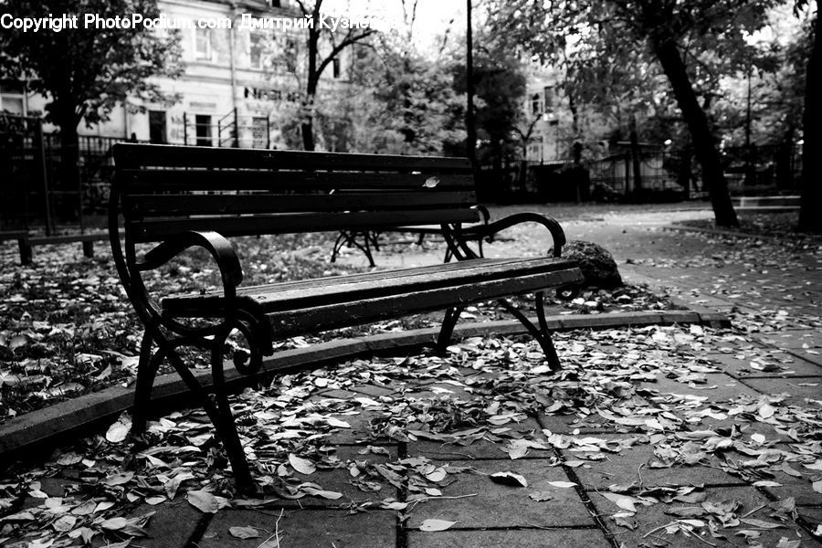Bench