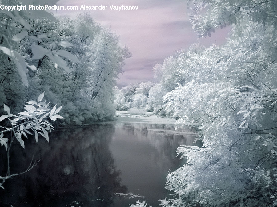 Frost, Ice, Outdoors, Snow, Alps, Crest, Mountain
