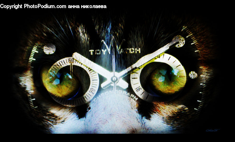 Compass, Carnival, Festival, Parade