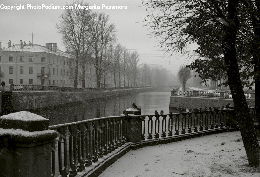 Canal, Outdoors, River, Water, Fence, Railing, Plant