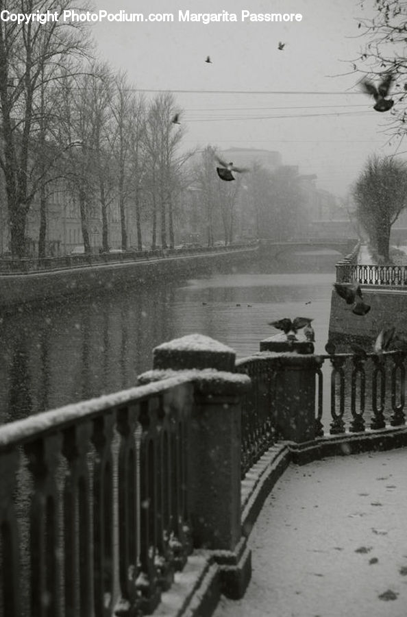 Canal, Outdoors, River, Water, Bench, Flyer, Poster