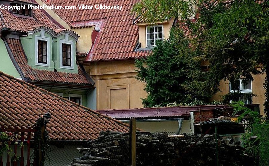 Plant, Potted Plant, Brick, Building, Housing, Villa, Cottage