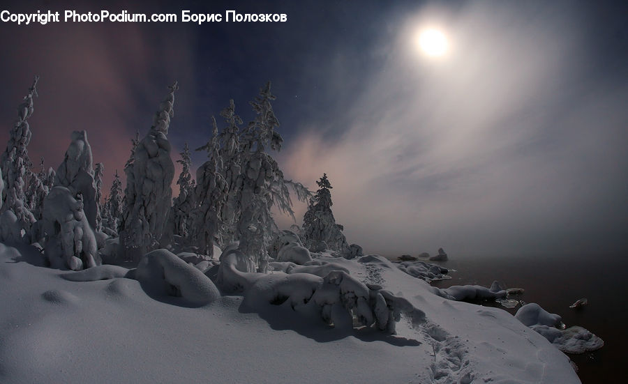 Art, Sculpture, Statue, Ice, Outdoors, Snow, Conifer