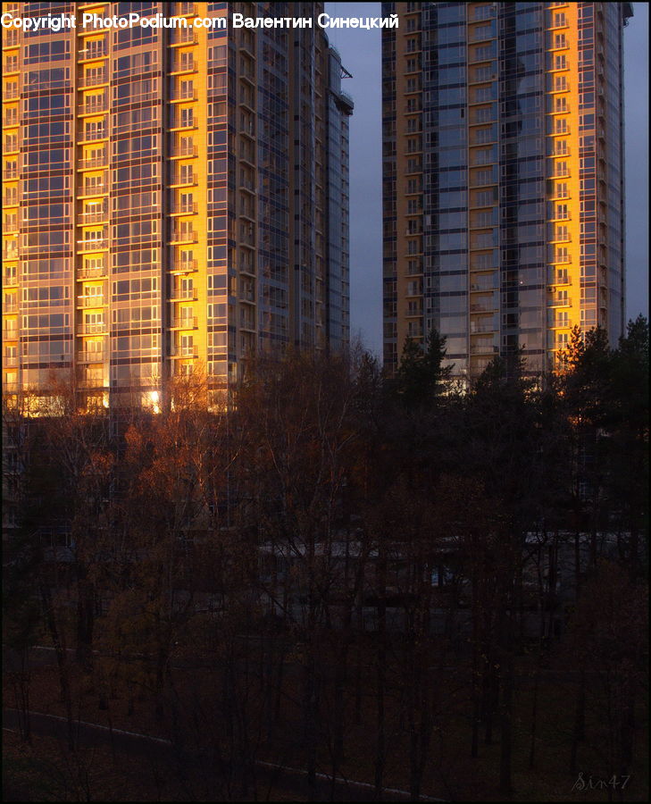 Building, Housing, City, High Rise, Apartment Building, Downtown, Metropolis