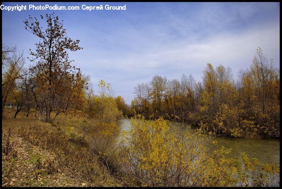 Land, Marsh, Pond, Swamp, Water, Outdoors, Dirt Road