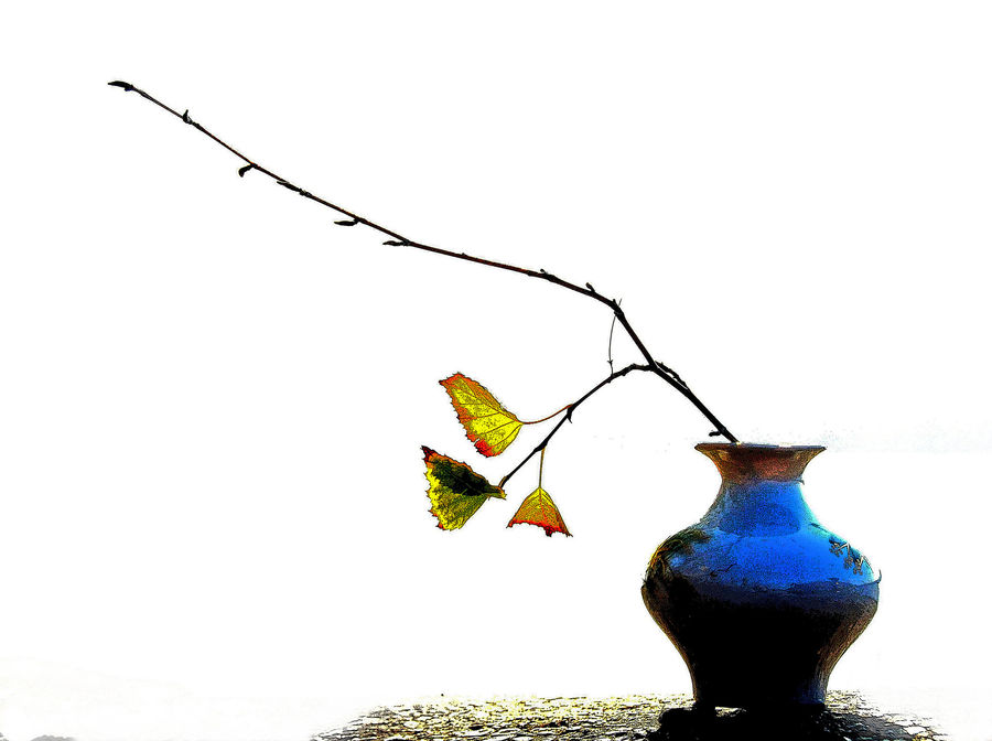 Leaf, Plant, Ivy, Vine, Bottle, Jar, Porcelain