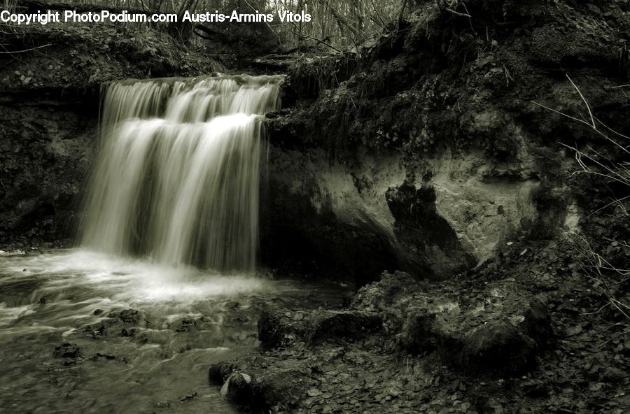 Creek, Outdoors, River, Water, Forest, Jungle, Rainforest