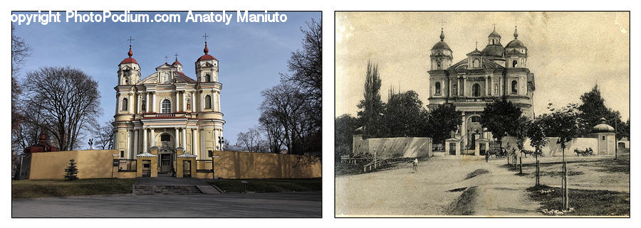 Collage, Poster, Architecture, Bell Tower, Clock Tower, Tower, Plant