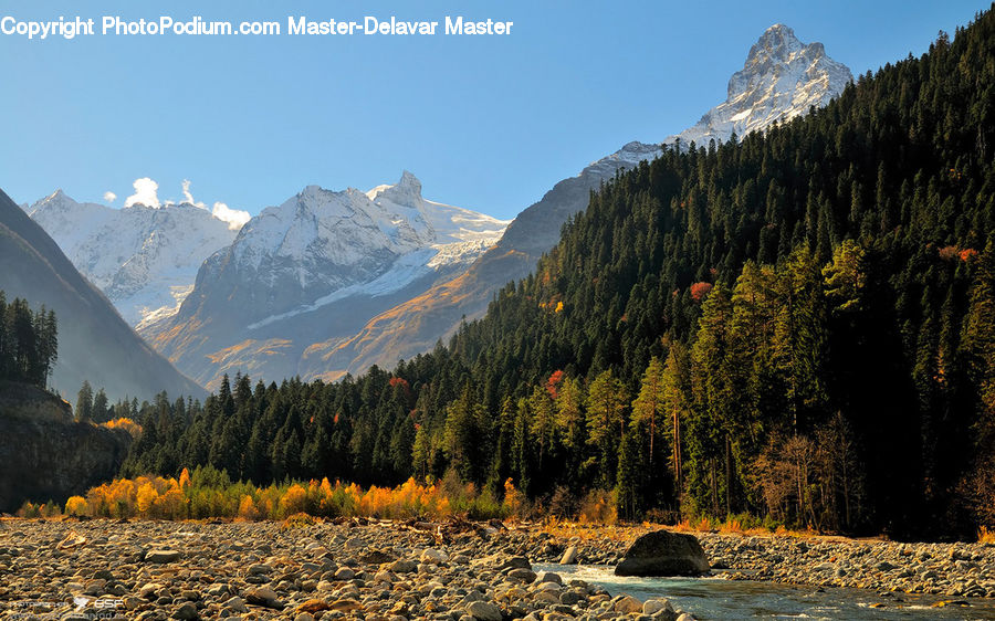 Forest, Vegetation, Crest, Mountain, Outdoors, Peak, Mountain Range