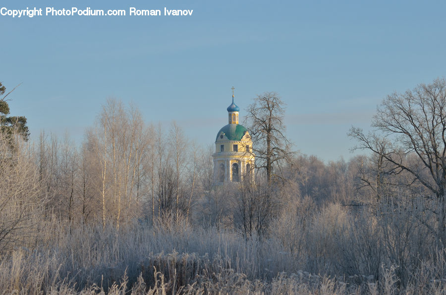 Architecture, Bell Tower, Clock Tower, Tower, Field, Grass, Grassland