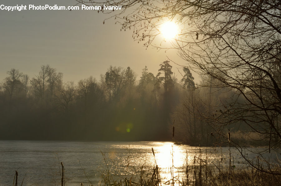 Land, Marsh, Pond, Swamp, Water, Flare, Light