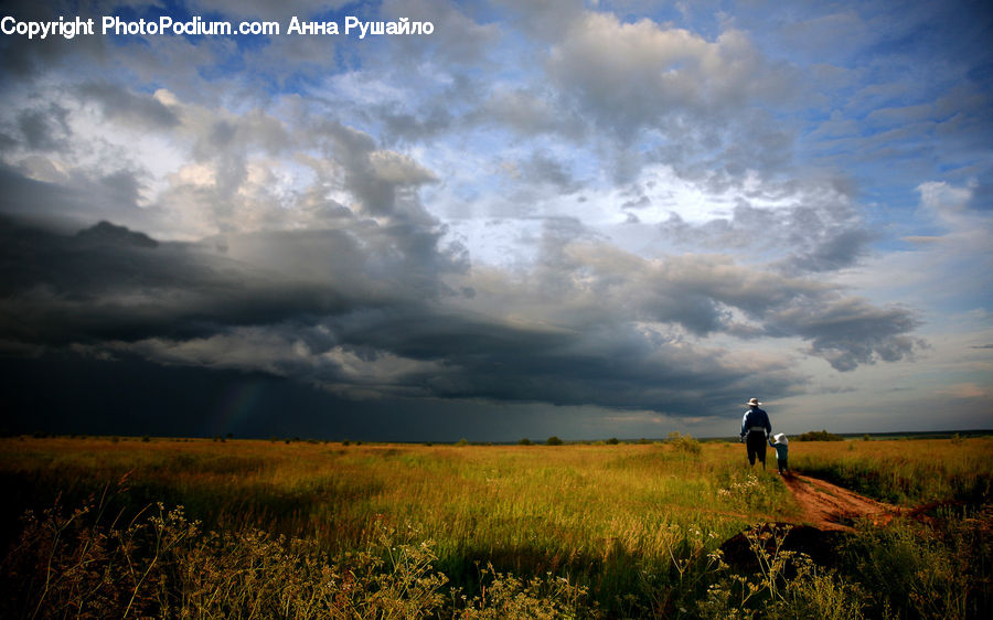 Field, Grass, Grassland, Land, Outdoors, Azure Sky, Cloud