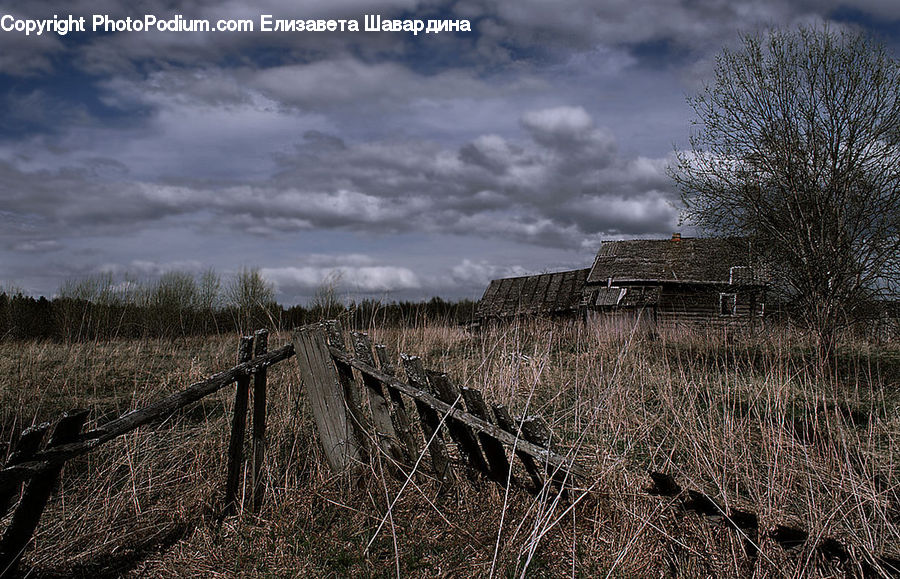 Field, Grass, Grassland, Plant, Cabin, Hut, Rural
