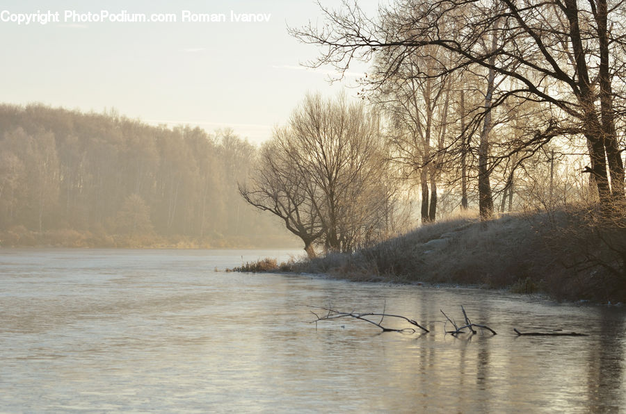 Flood, Landscape, Nature, Scenery