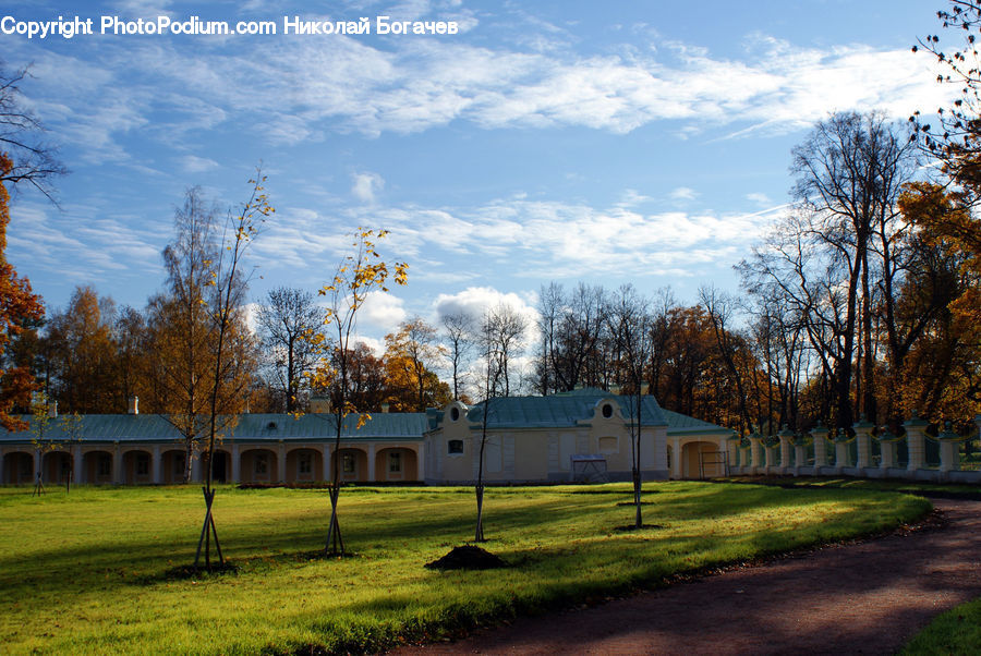 Yard, Dirt Road, Gravel, Road, Park, Campus, Landscape
