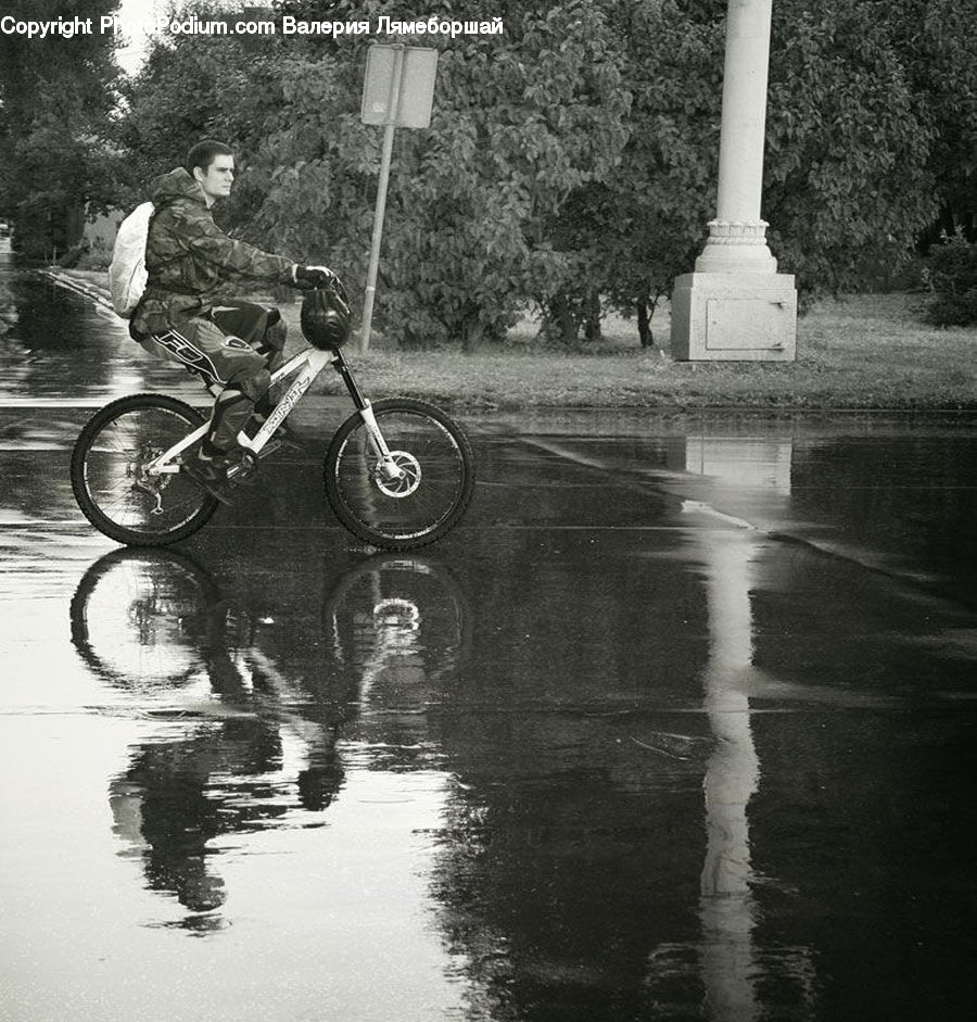 Bicycle, Bike, Vehicle, Cyclist, Water, Intersection, Road