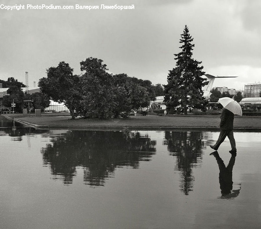 Umbrella, Outdoors, Pond, Water, Plant, Tree, Canal
