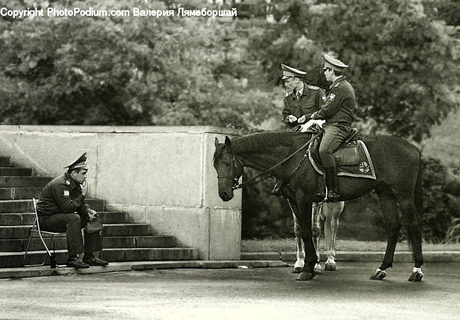People, Person, Human, Animal, Horse, Mammal, Military