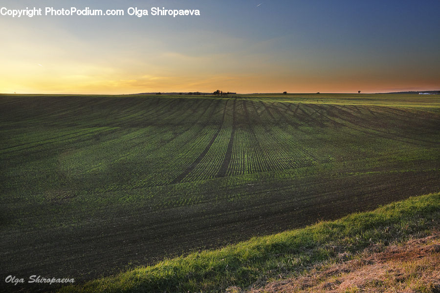 Field, Grass, Grassland, Land, Outdoors, Dirt Road, Gravel