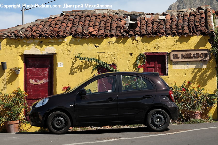 Automobile, Car, Vehicle, Plant, Potted Plant, Rust, Caravan