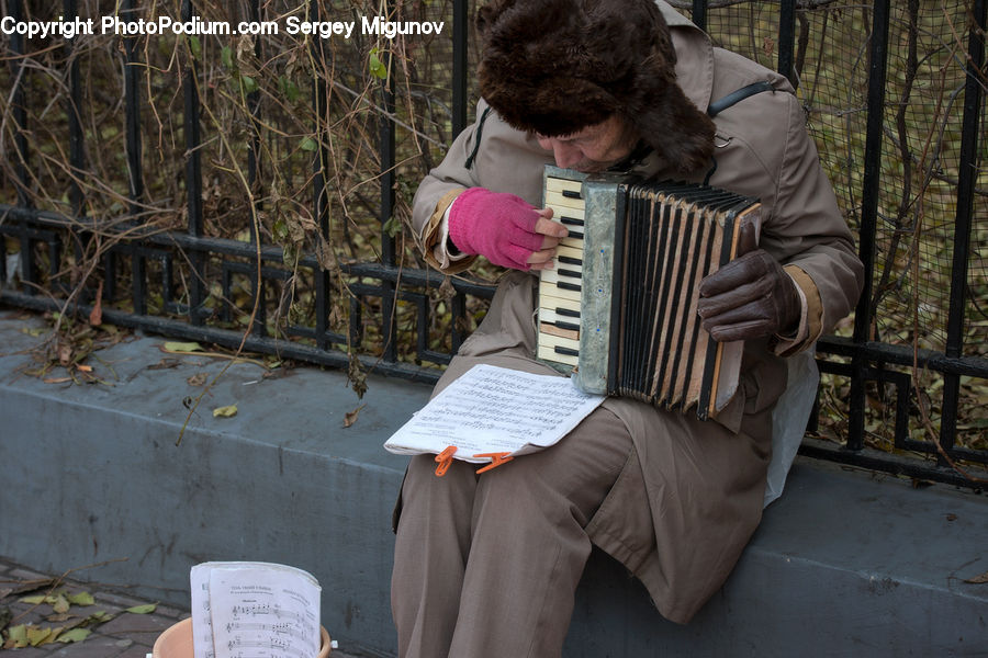 Human, People, Person, Accordion, Musical Instrument, Bench, Forest