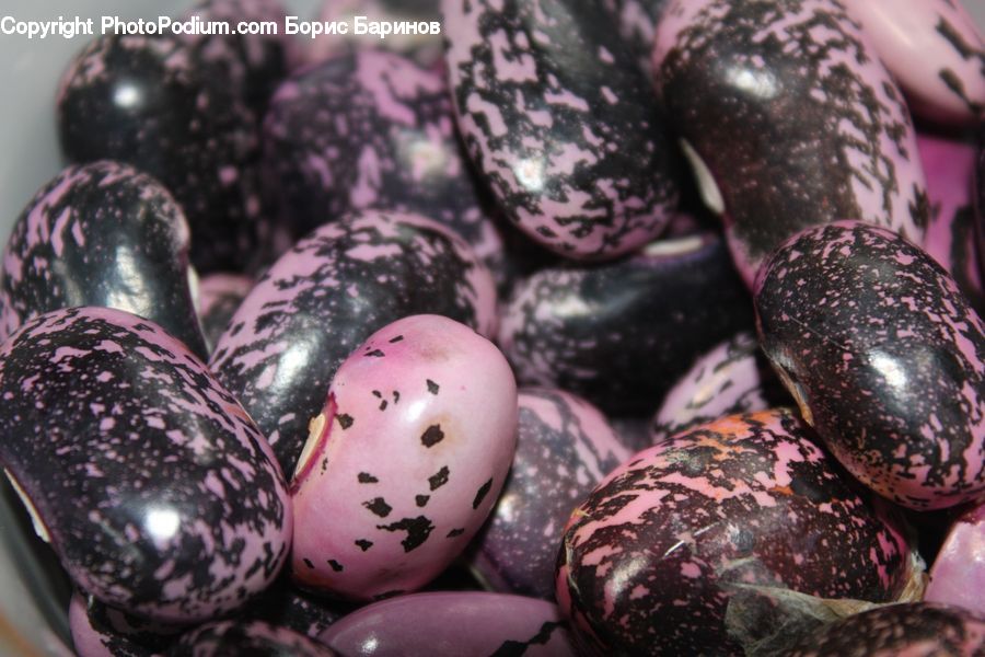 Bean, Produce, Vegetable, Squash, Potato, Accessories