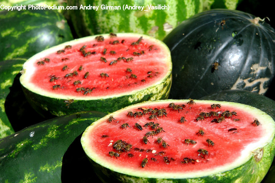 Fruit, Watermelon, Cucumber, Vegetable