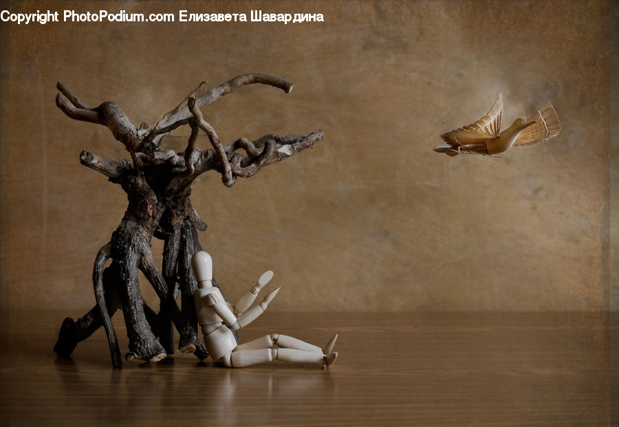 Antler, Dragon, Outdoors, Sand, Soil, Bird, Waterfowl