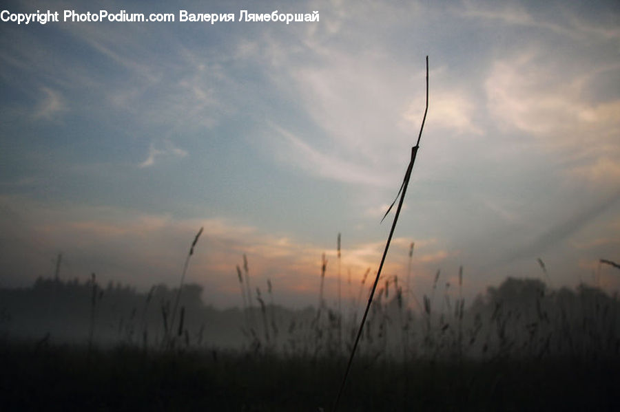 Dawn, Dusk, Sky, Sunrise, Sunset, Field, Grass