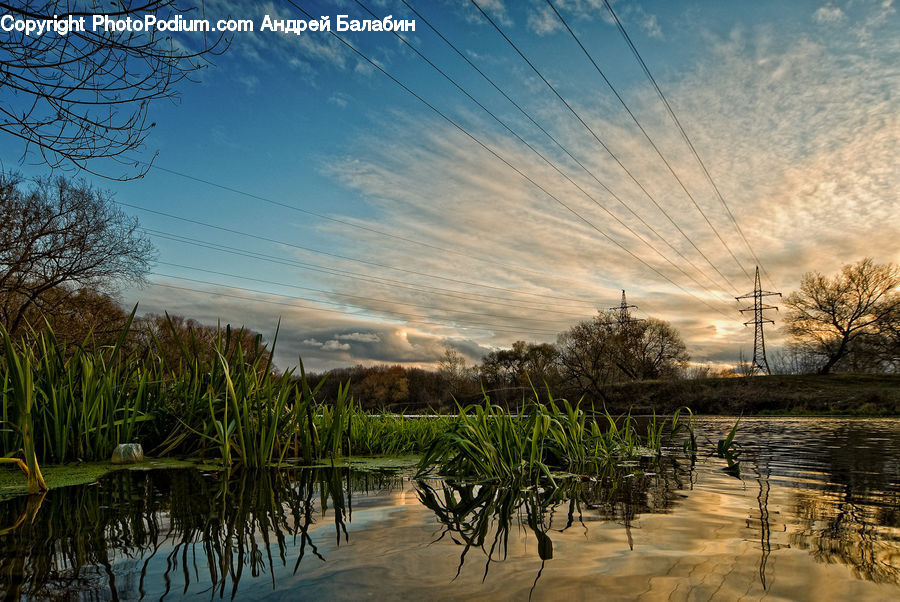 Land, Marsh, Outdoors, Swamp, Water, Flood, Grass