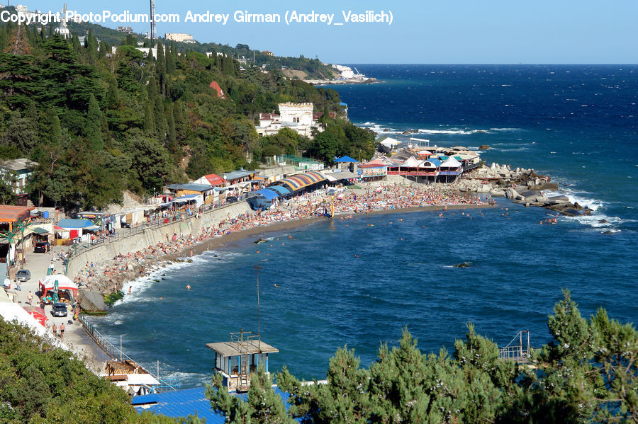 Promontory, Beach, Coast, Outdoors, Sea, Water, Conifer