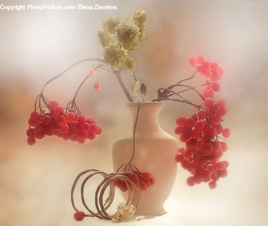 Fruit, Grapes, Blossom, Cherry Blossom, Flower, Flora, Plant