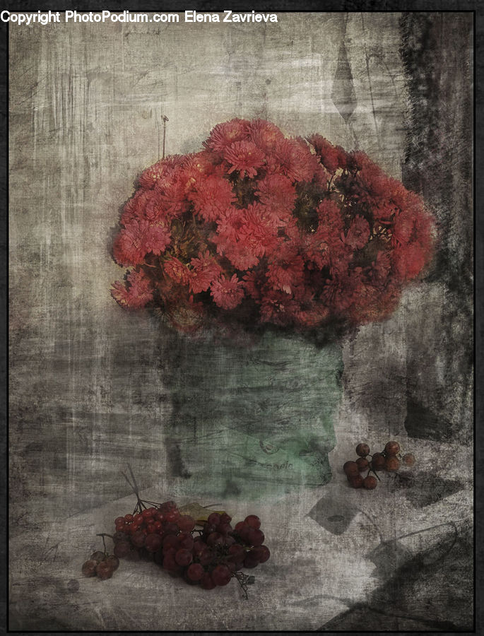 Fruit, Grapes, Blossom, Flora, Flower, Geranium, Plant