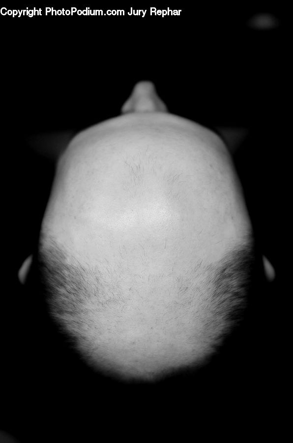 Head, Portrait, Person, Selfie