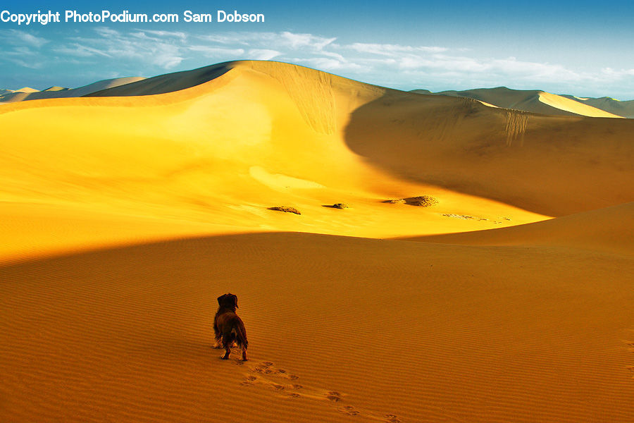 Desert, Outdoors, Dune
