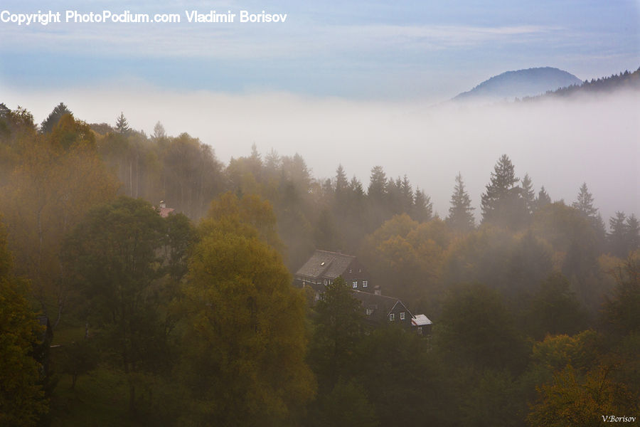Fog, Mist, Outdoors, Dawn, Dusk, Sky, Sunrise