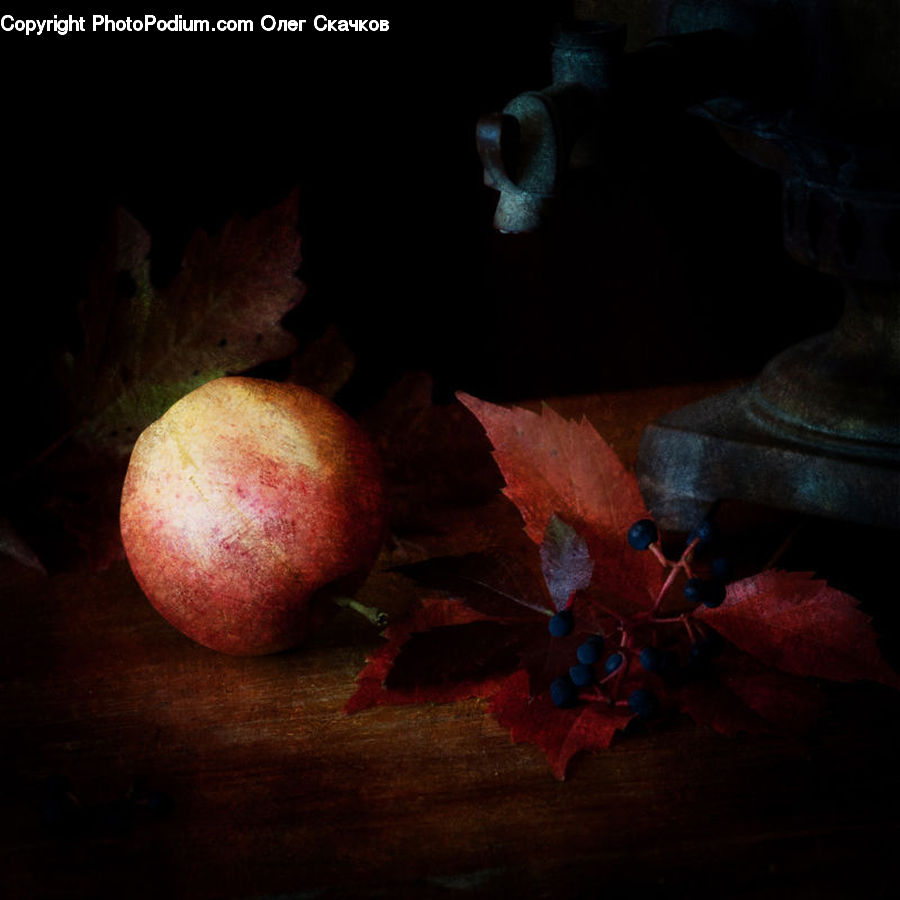 Ant, Insect, Invertebrate, Fruit, Grapes, Pear, Blossom