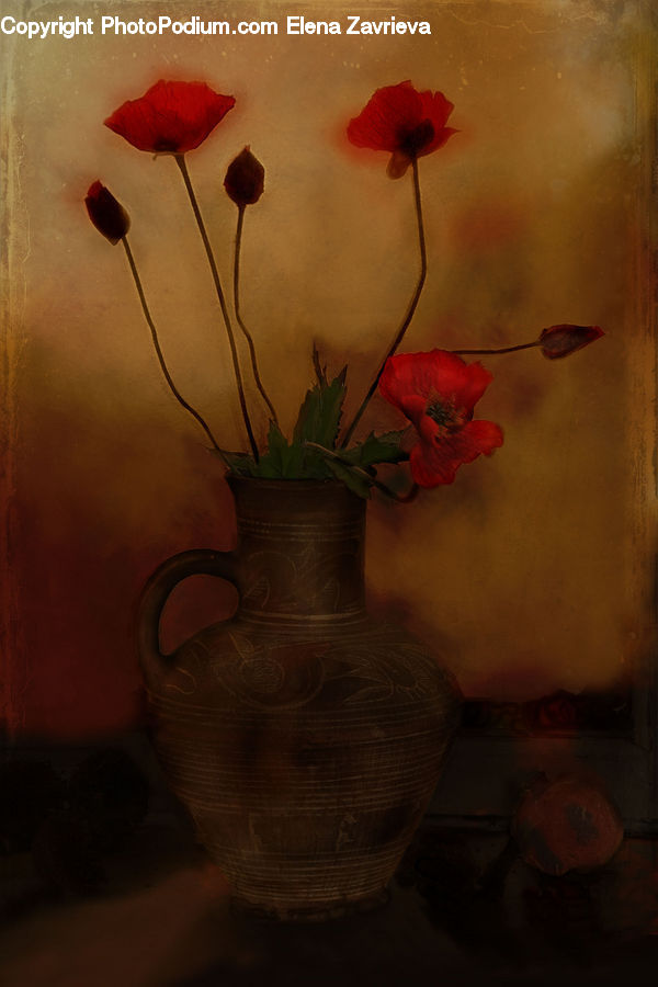 Plant, Potted Plant, Flower Arrangement, Ikebana, Vase, Floral Design, Flower
