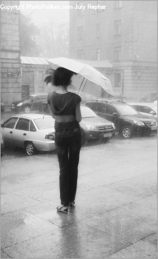 People, Person, Human, Automobile, Car, Vehicle, Umbrella