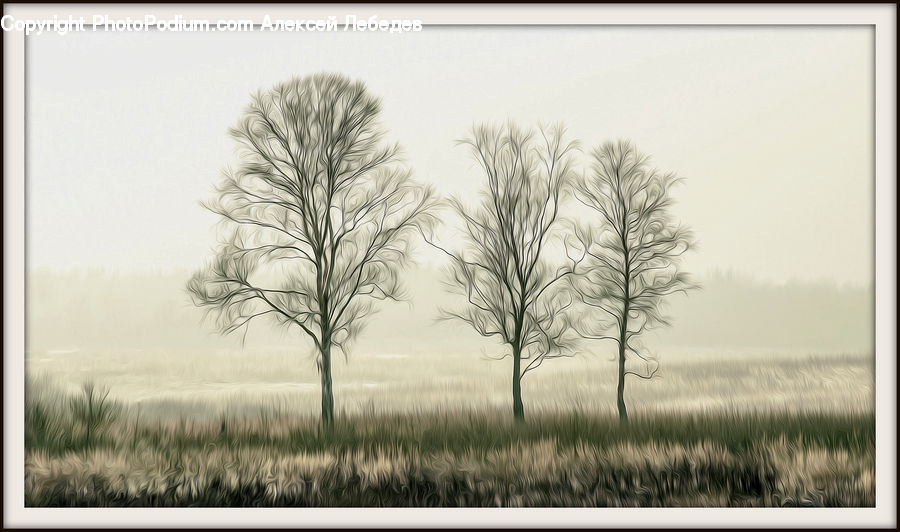 Field, Grass, Grassland, Land, Outdoors, Fog, Plant
