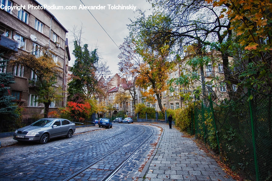 Cobblestone, Pavement, Walkway, Automobile, Car, Sedan, Vehicle